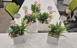 심리정서를 위한 원예치료 - 경남자립지원전담기관